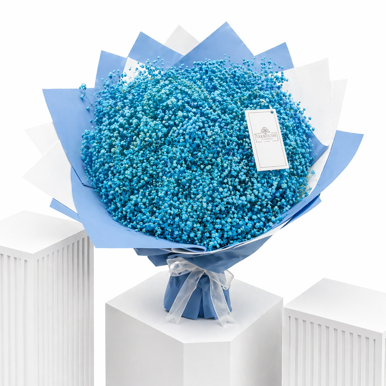 Gypso Cloud of Joy
