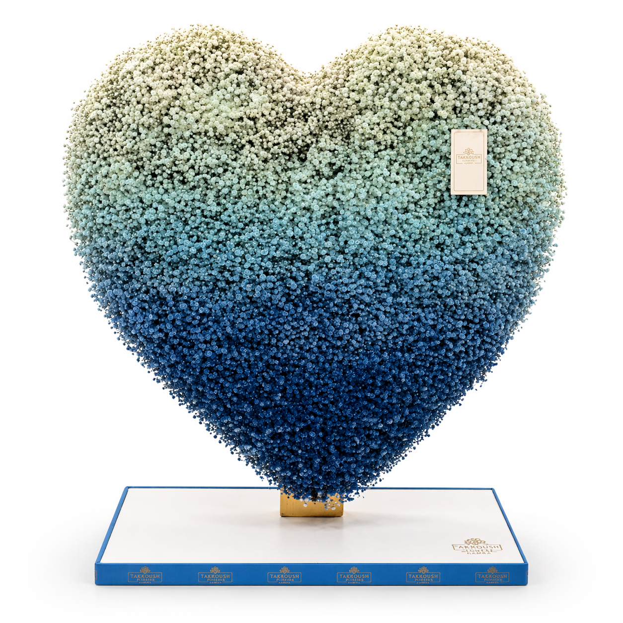 Ombre Whisper Heart