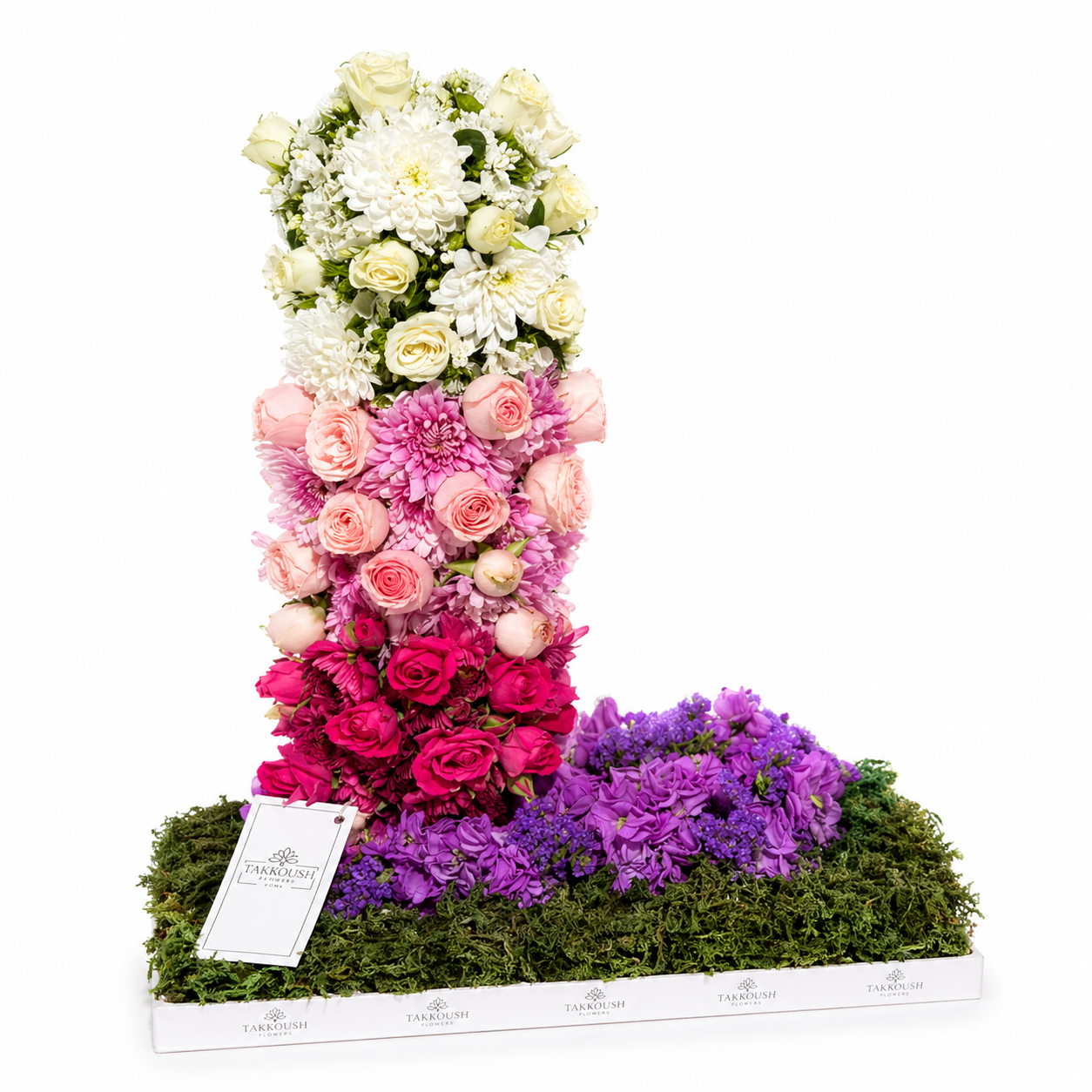 Bloom Spectrum Initial