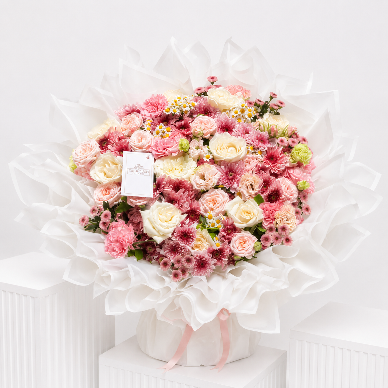 Ivo Blush Harmony