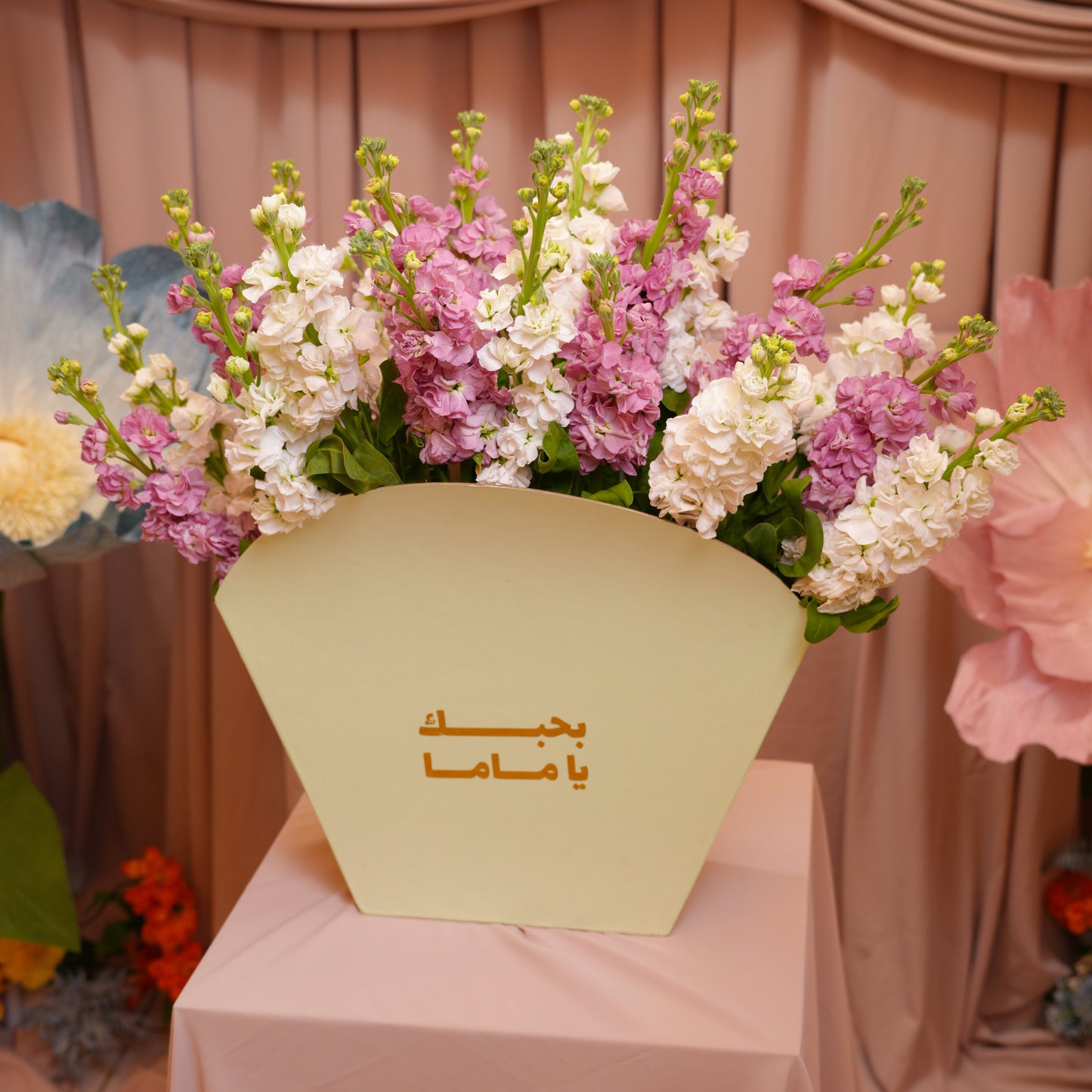 Fan Box White & Pink Matthiola