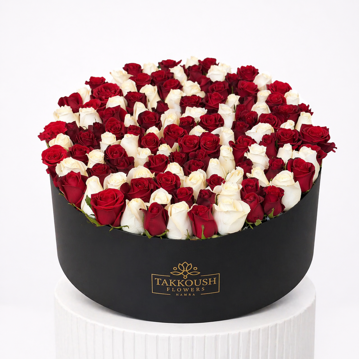 Velvet Harmony Roses
