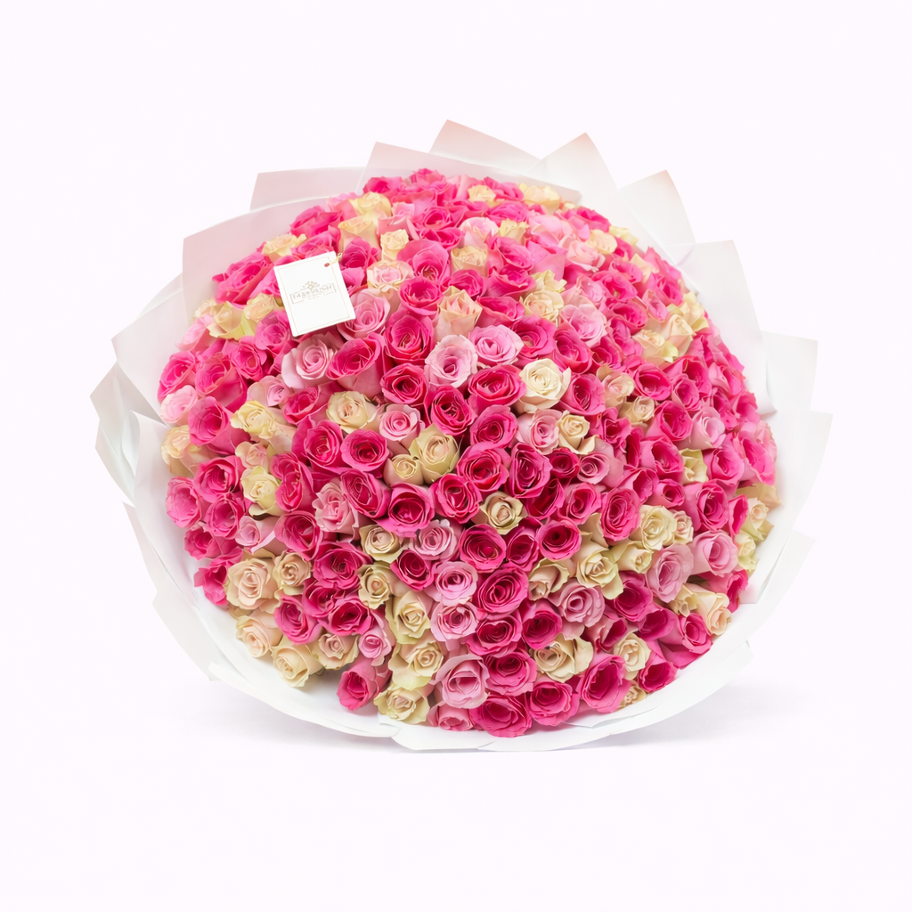 Rosy Delight