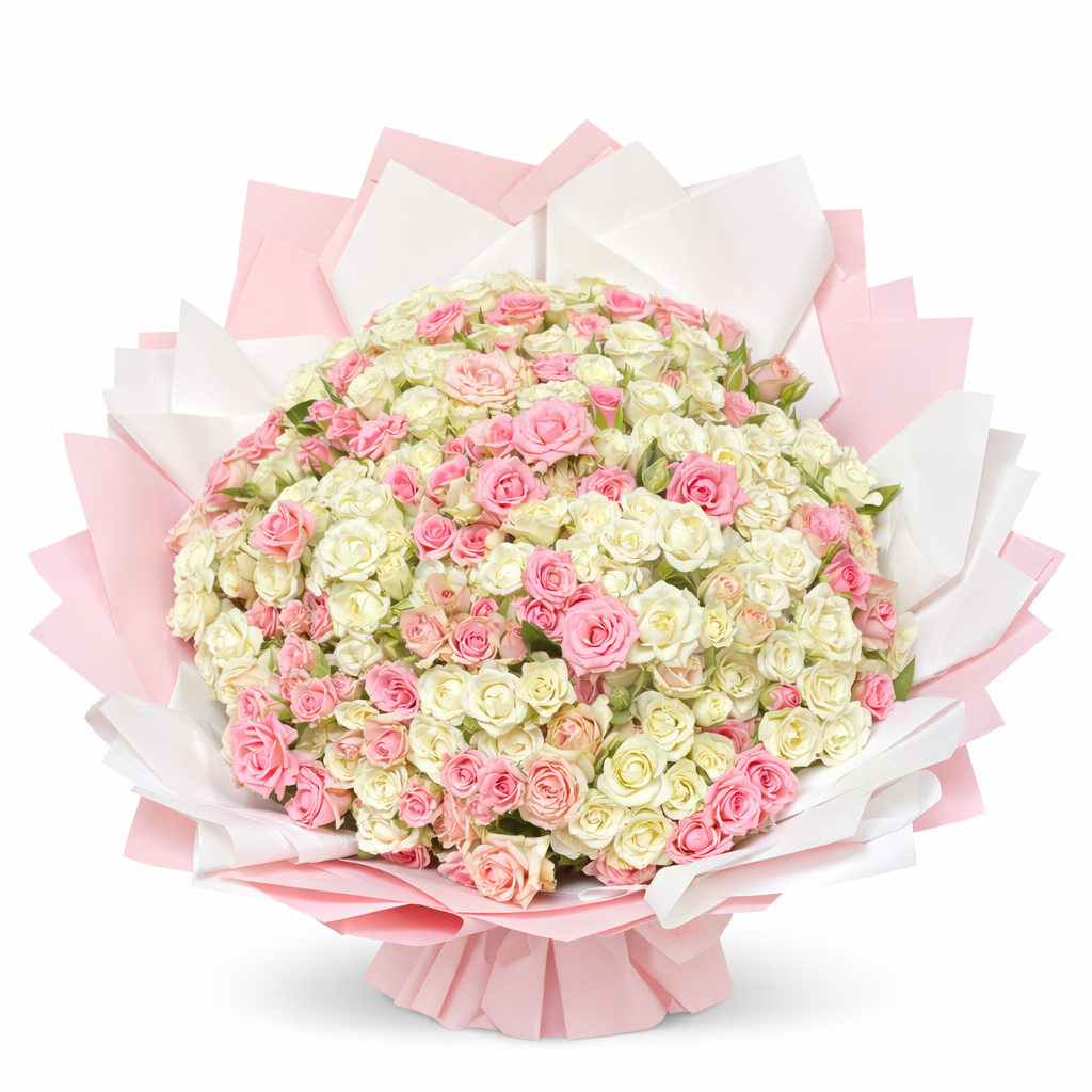 Blush Serenade