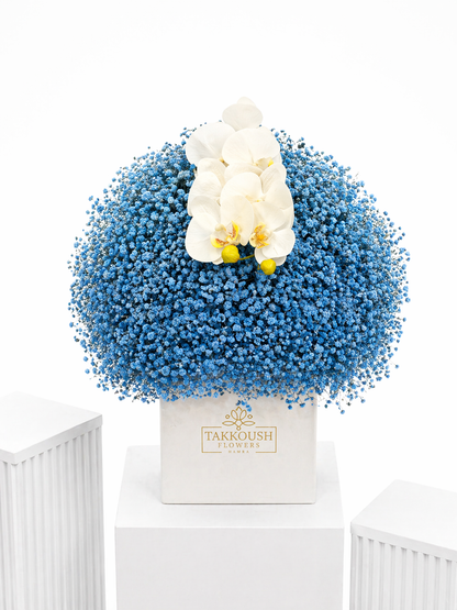 Blue Cloud Orchid Bliss