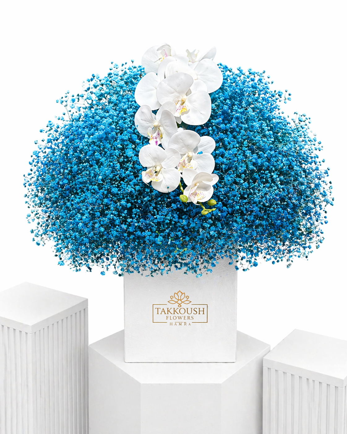 Blue Cloud Orchid Bliss