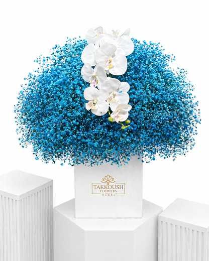 Blue Cloud Orchid Bliss