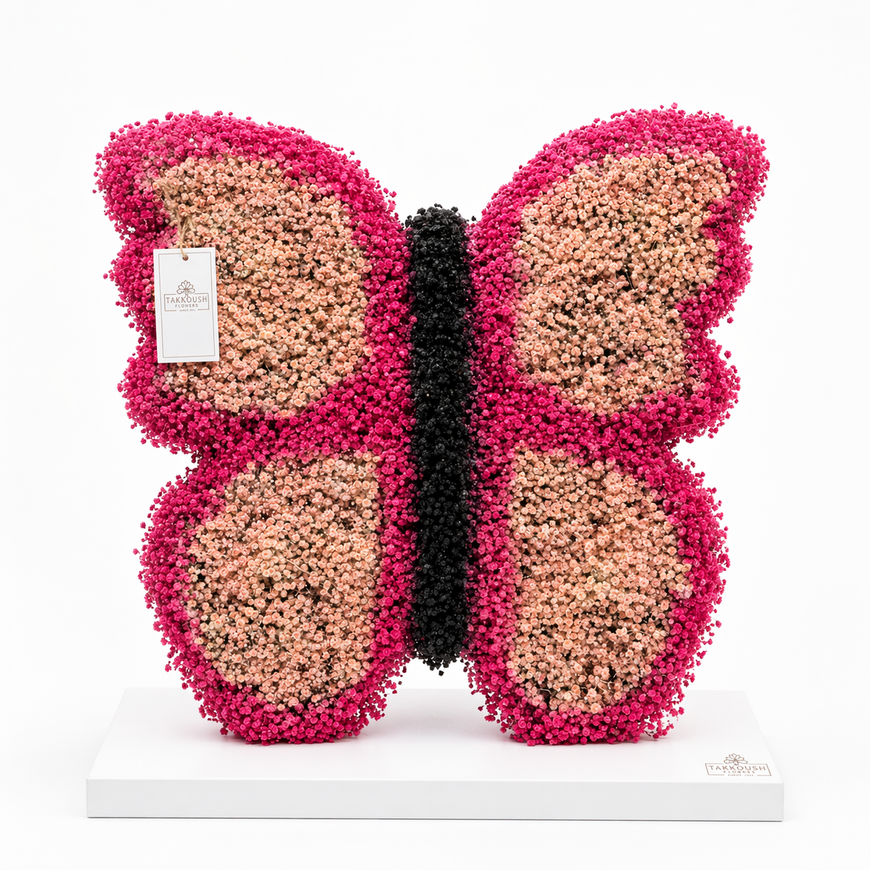 Baby Girl Butterfly Bloom