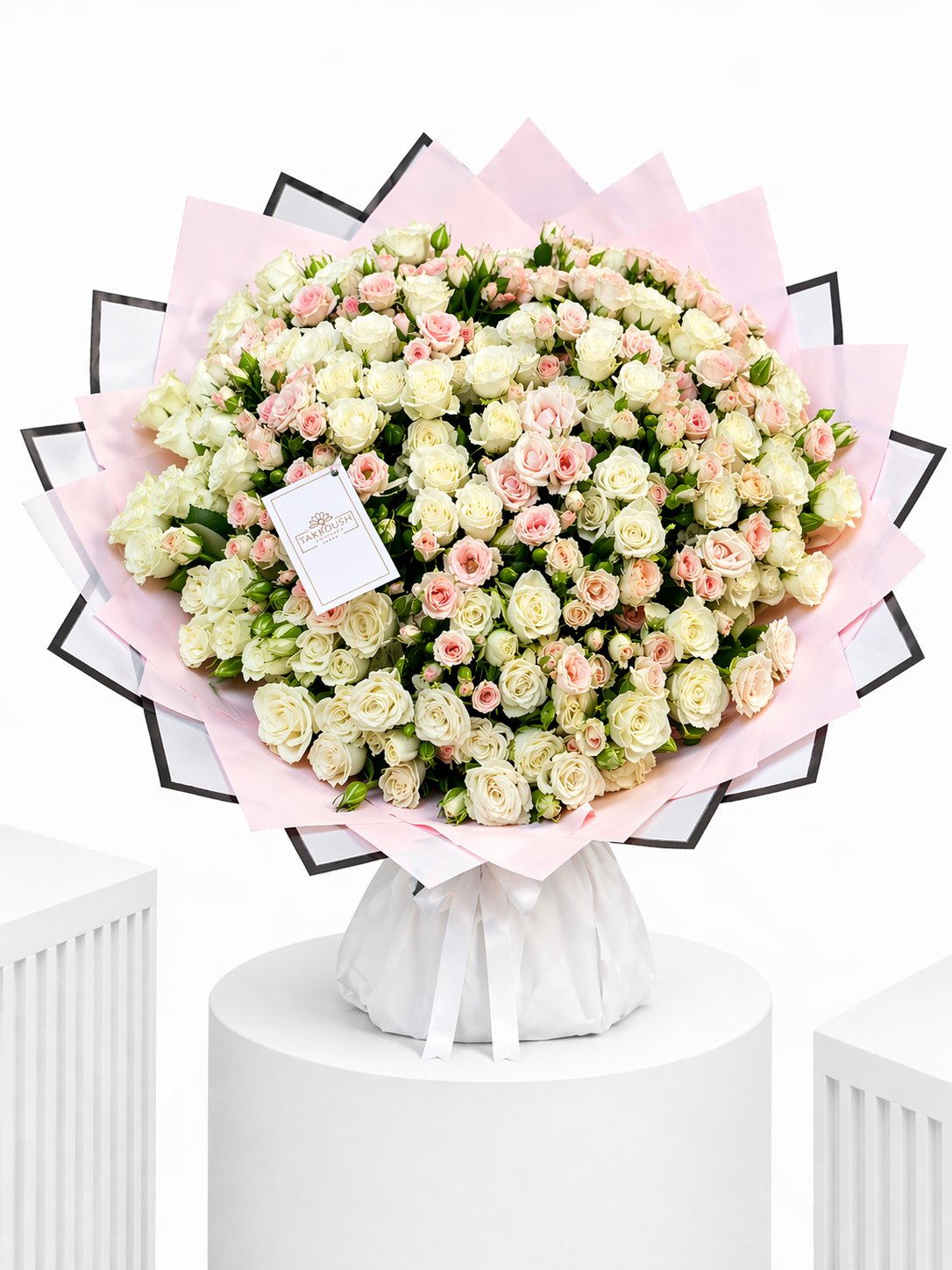 Blush Baby Bloom