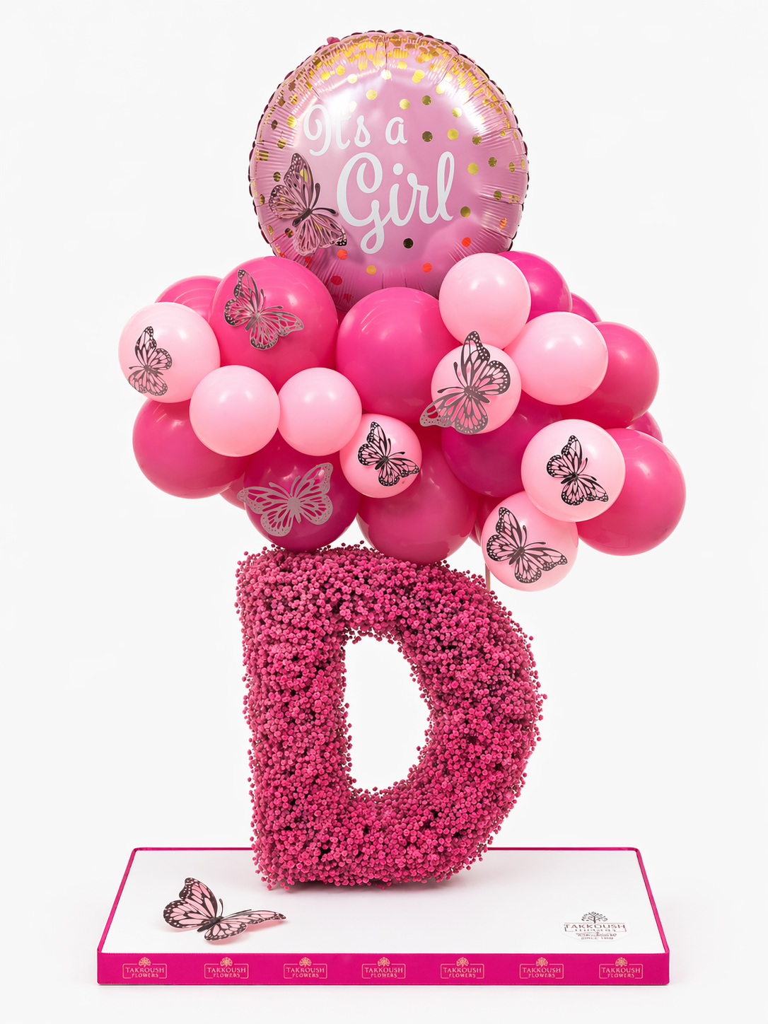 Little Princess Sign