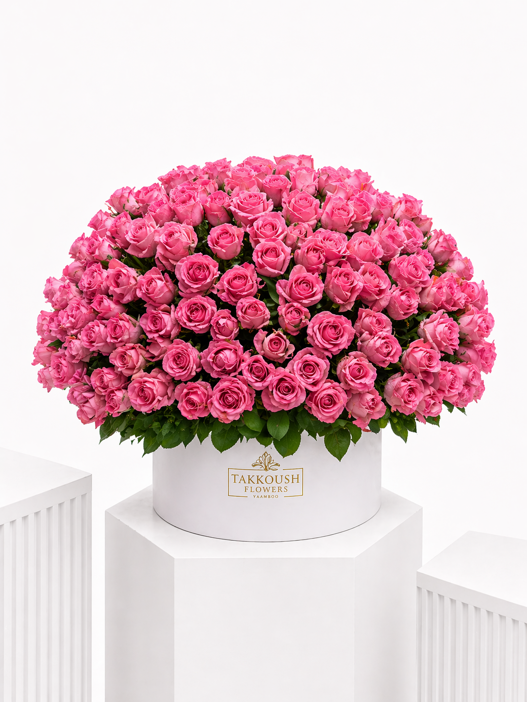 Princess Pink Garden
