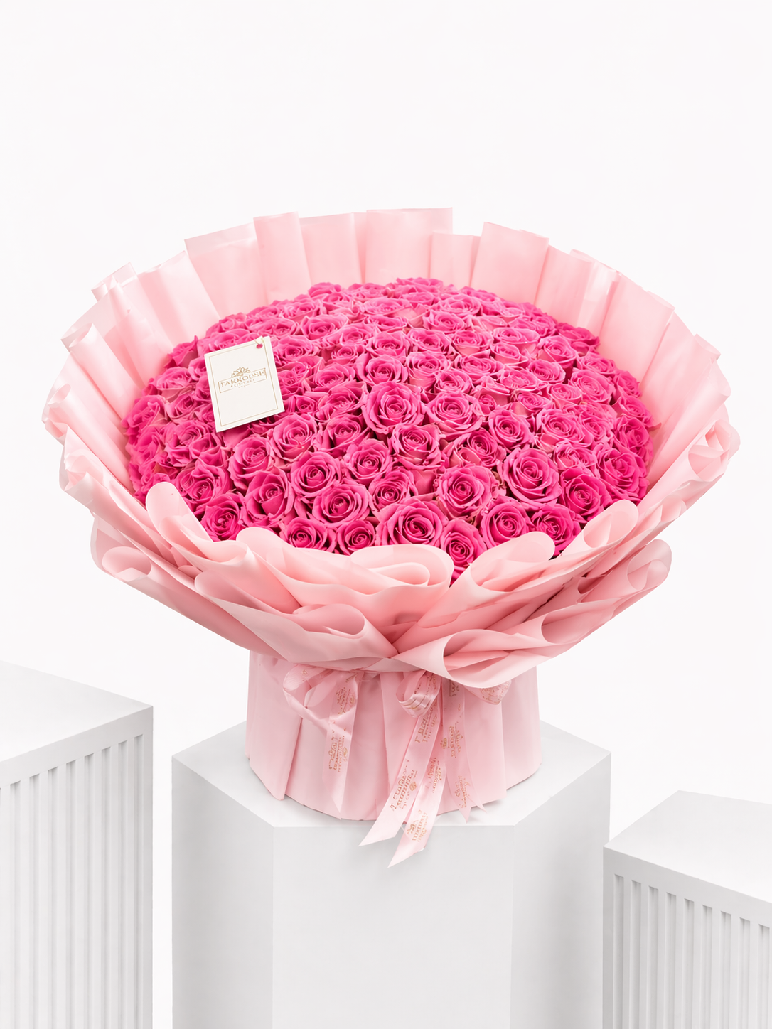 Pinky New Bundle