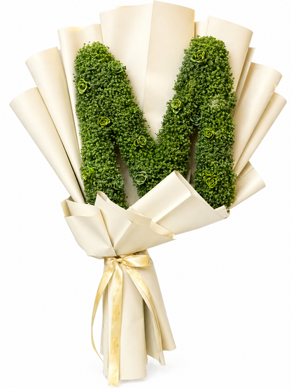 Gypso Greenish Letter