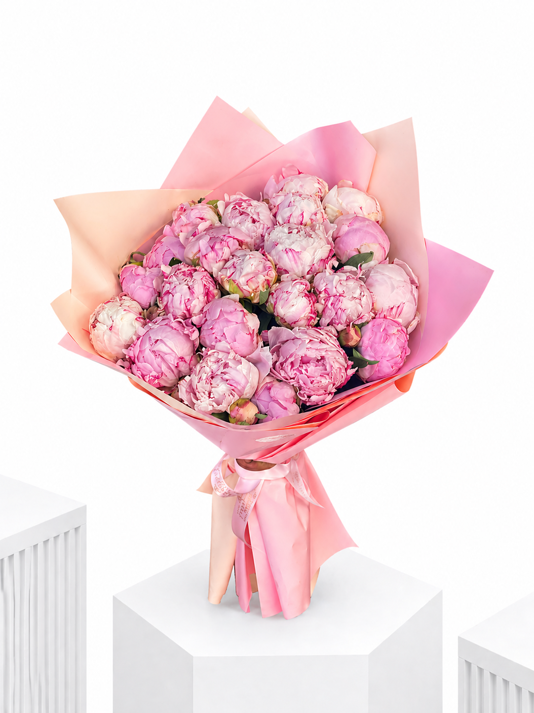 Pink Delicate Peony