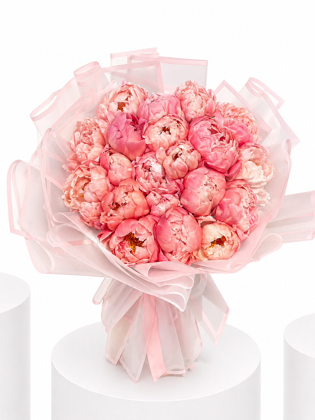Coray Delicate Peony