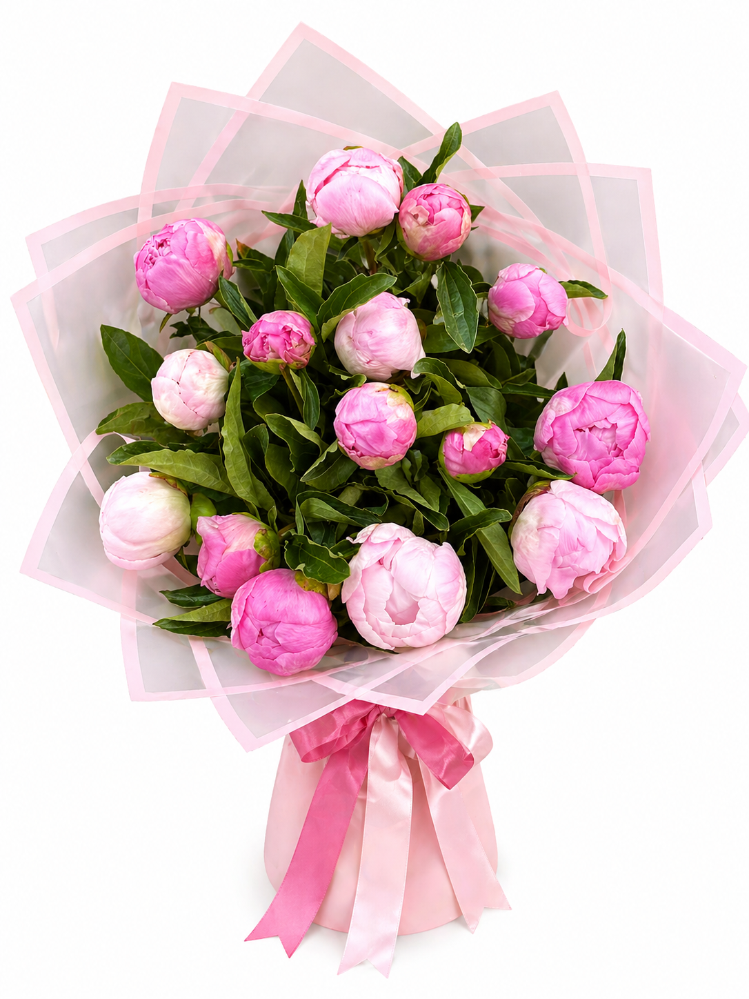Tender Peonies Bloom