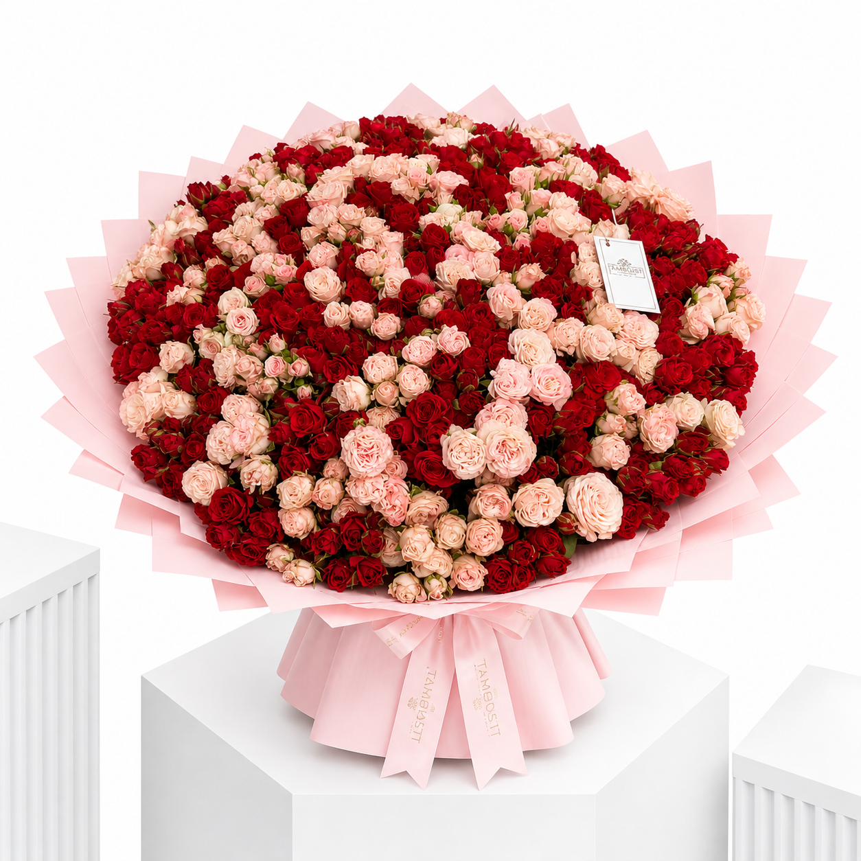Red & Pink Symphony