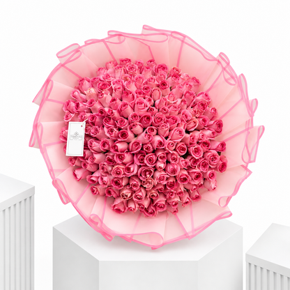 Pink Fantasy Celbration
