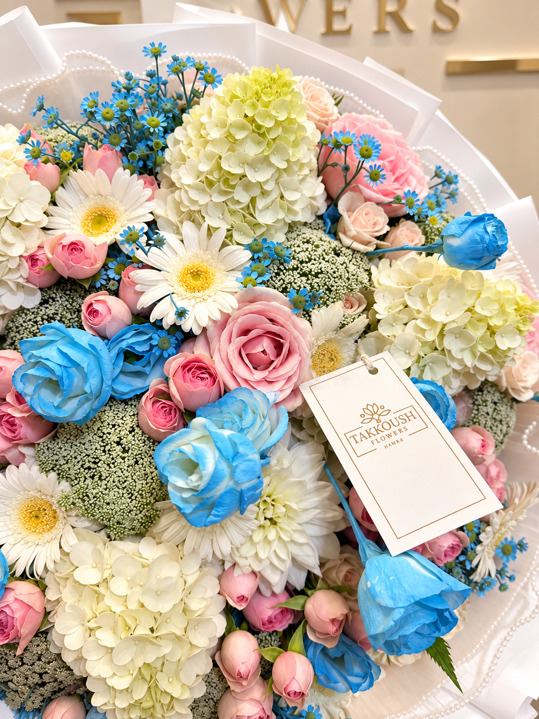 Pastel Blue Symphony