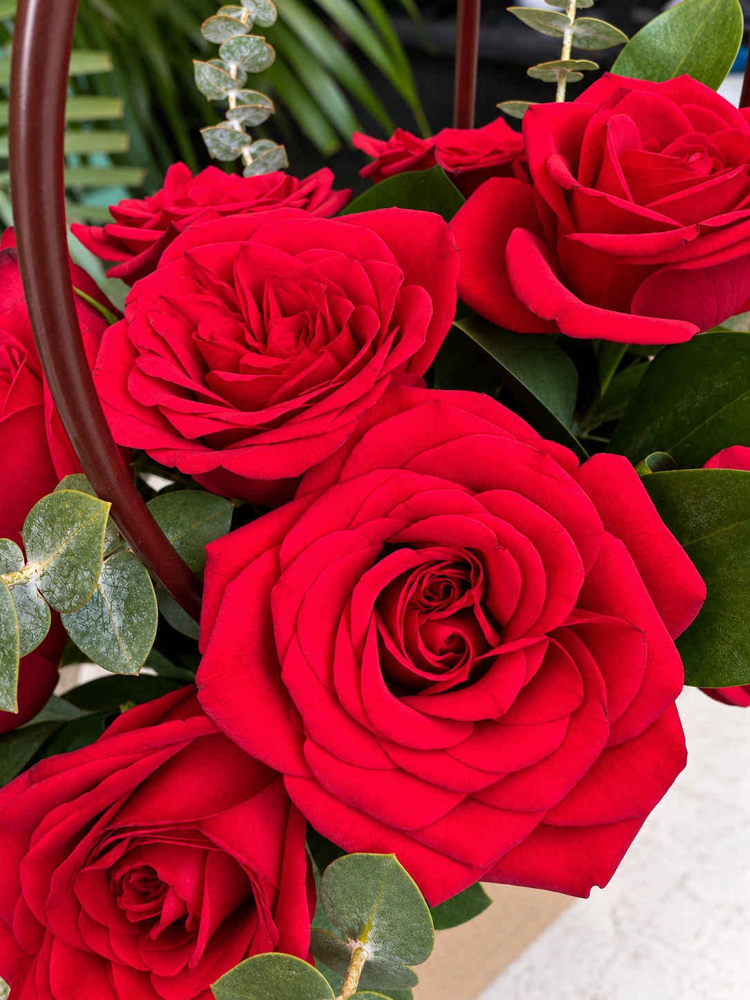 Rouge Elegance