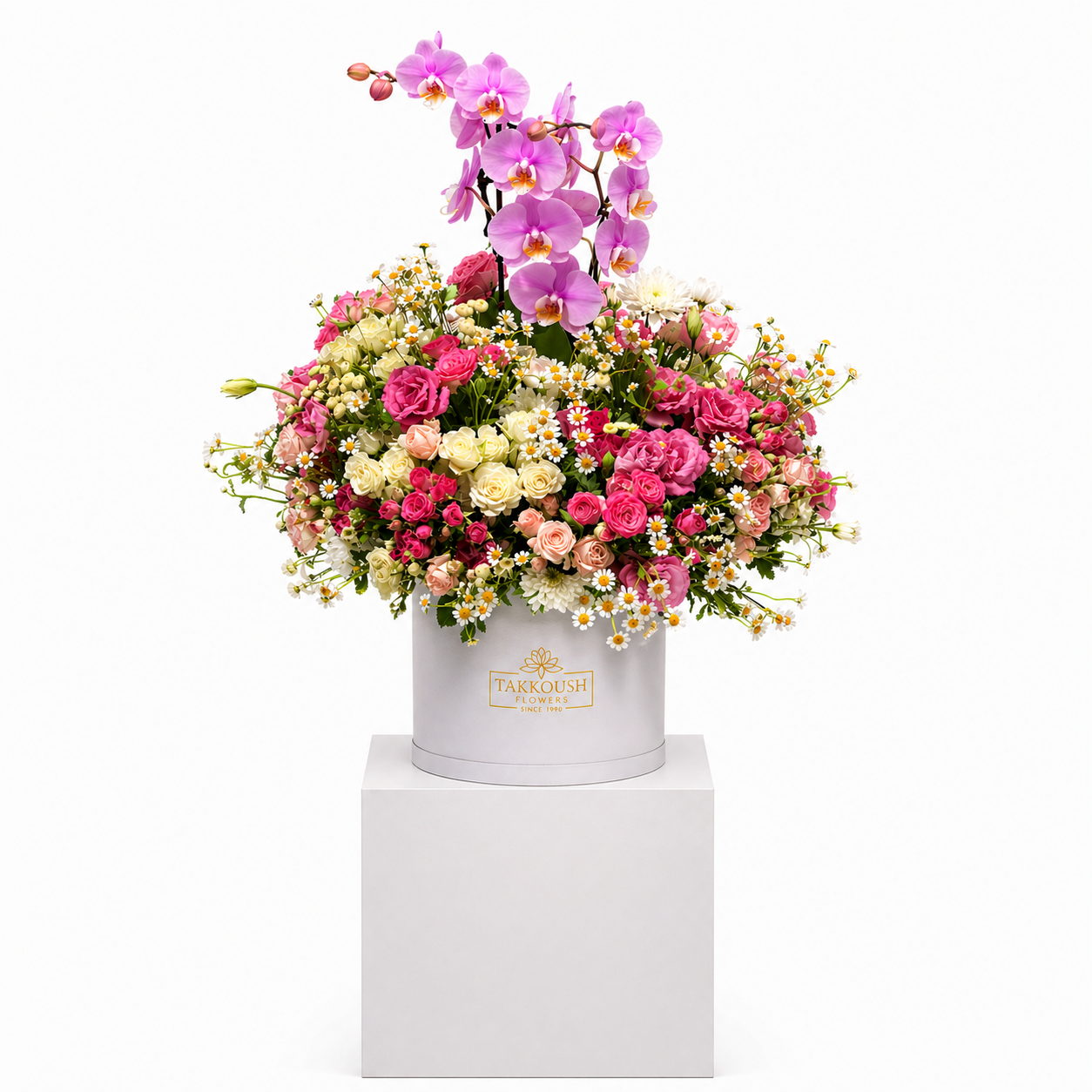 Pink Orchid Welcome
