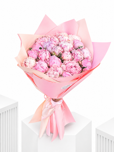 Pink Delicate Peony