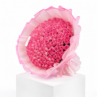 Pink Fantasy Celbration