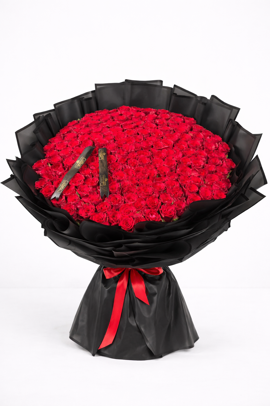Crimson Noir Symphony