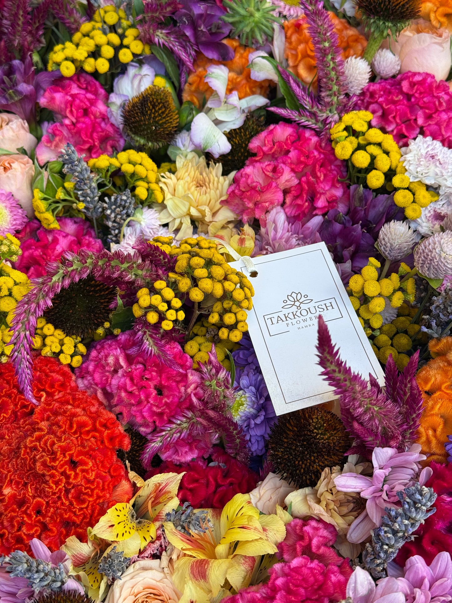 Bloom Fiesta