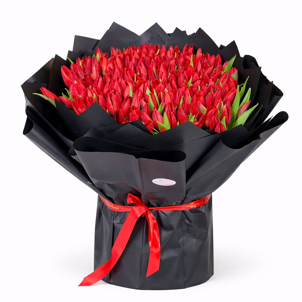 Red Tulip Passion