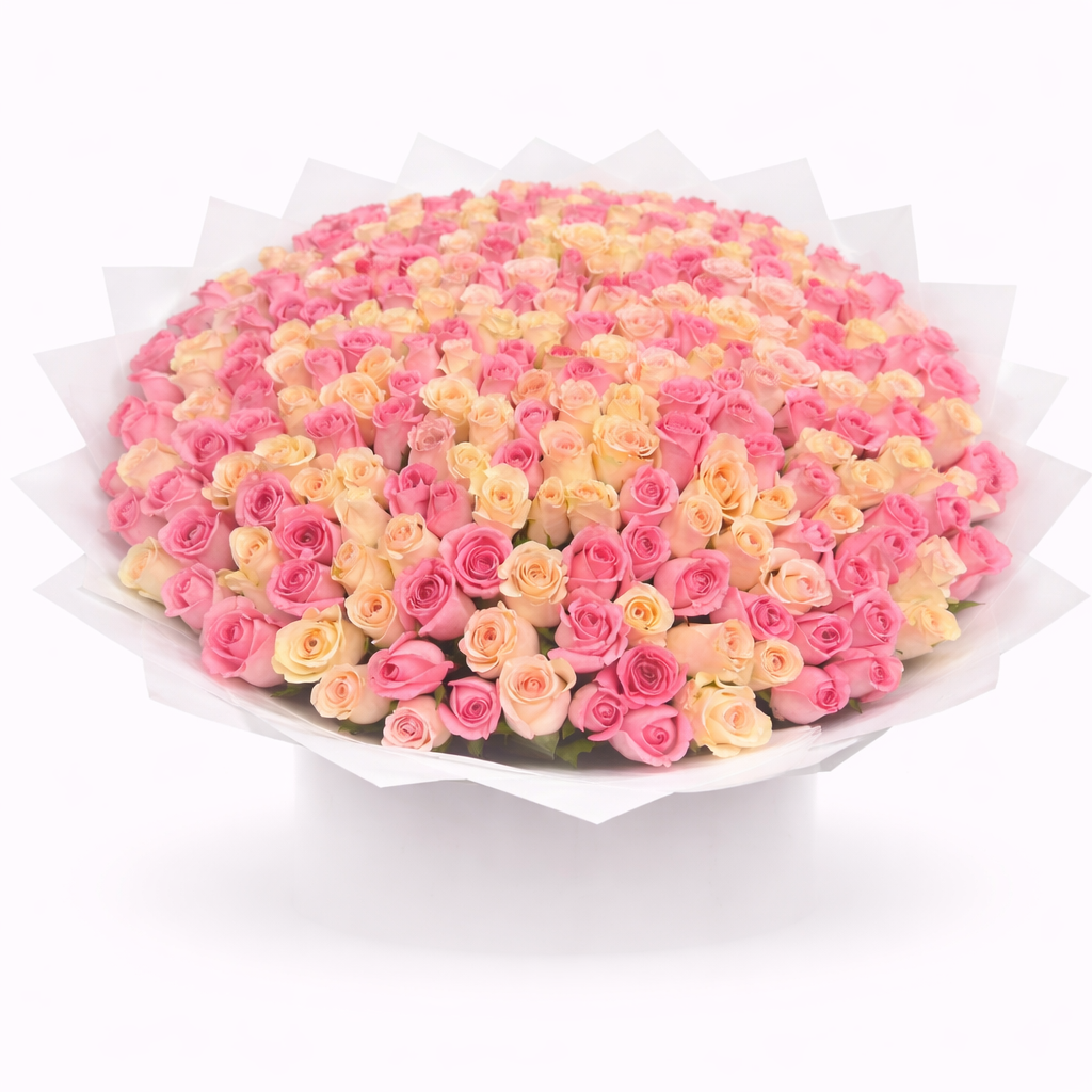 Rosy Dream